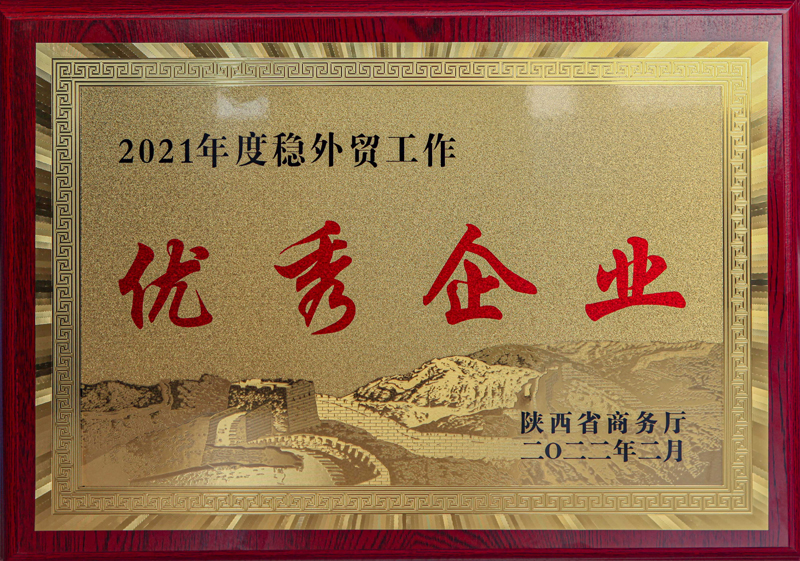 Excellent enterprise for stabilizing foreign trade in 2021